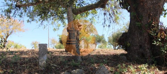 Grundstück in Sao Bras de Alportel, Portugal 6946m², Nr. 49496 15