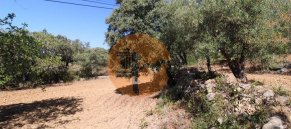 Grundstück in Sao Bras de Alportel, Portugal 6946m², Nr. 49496 13