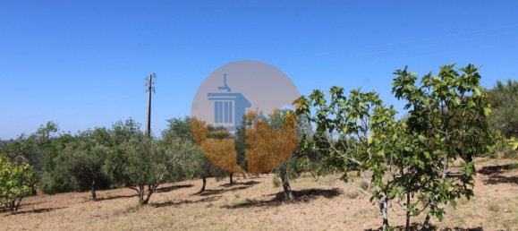 Grundstück in Sao Bras de Alportel, Portugal 6946m², Nr. 49496 5