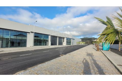 8000m² Commercial property in Barcelos, Portugal No. 192497