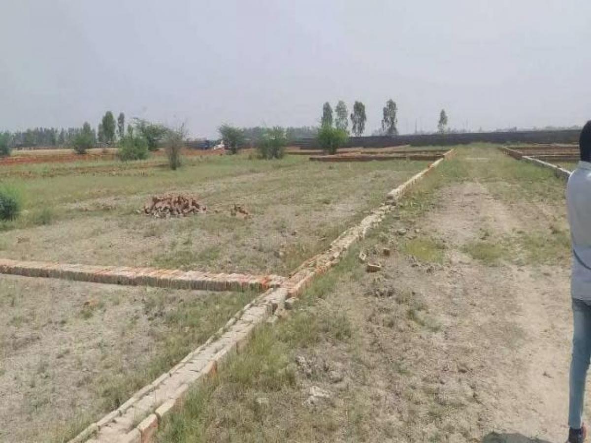  Land in Noida, India No. 36486