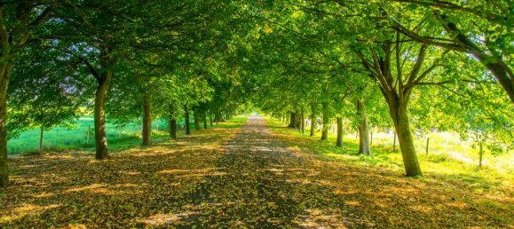 14 Schlafzimmer Haus, Nr. 13050 48