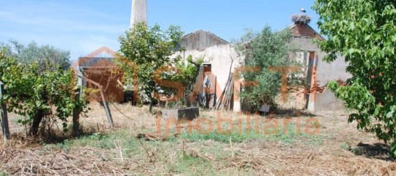 Armazém em Ponte de Sôr, Portugal 445 m² N.º 91626 11