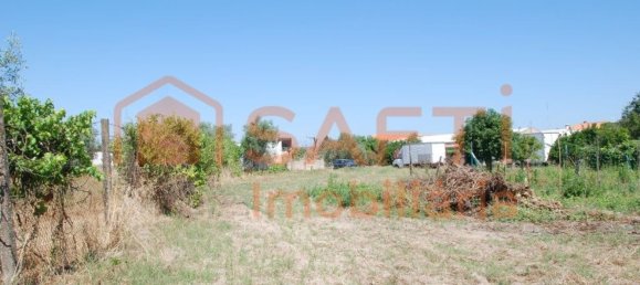 Armazém em Ponte de Sôr, Portugal 445 m² N.º 91626 5