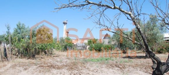 Armazém em Ponte de Sôr, Portugal 445 m² N.º 91626 10