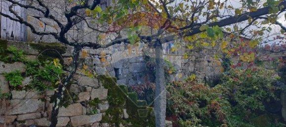 3 bedrooms House in Fornelos, Portugal No. 185318 14