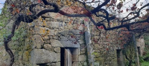 3 bedrooms House in Fornelos, Portugal No. 185318 11