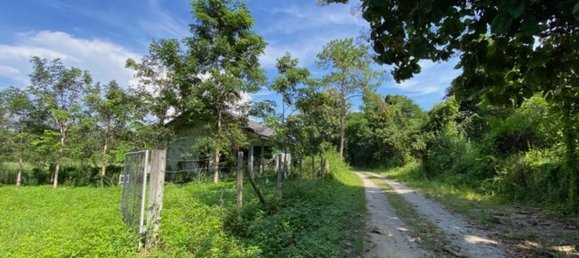  Land in Chiang Mai, Thailand No. 27021 10