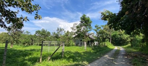  Land in Chiang Mai, Thailand No. 27021 12