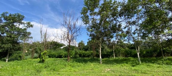  Land in Chiang Mai, Thailand No. 27021 4