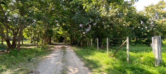  Land in Chiang Mai, Thailand No. 27021 11