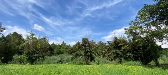  Land in Chiang Mai, Thailand No. 27021 5