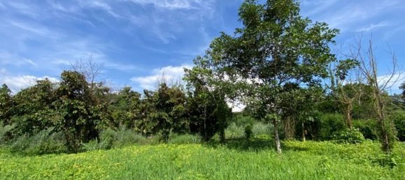  Land in Chiang Mai, Thailand No. 27021 6