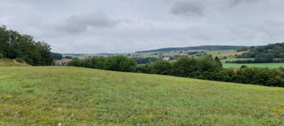 Земельный участок 18662м² в Майн-Кинциг, Германия № 365932 2