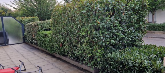 2 chambres Appartement à Hœnheim, France No. 90053 2