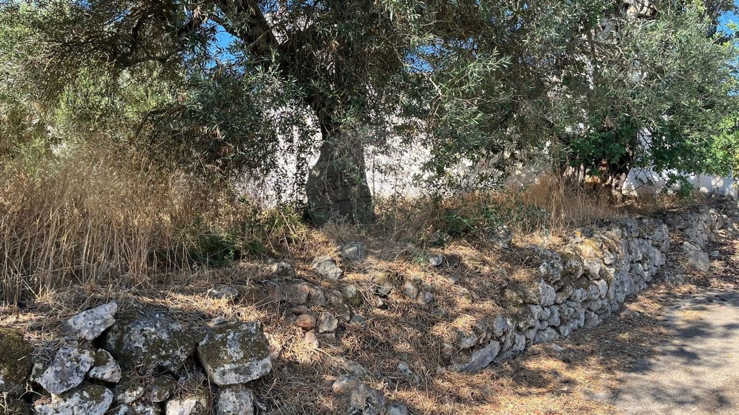  Land in Salir, Portugal No. 349625