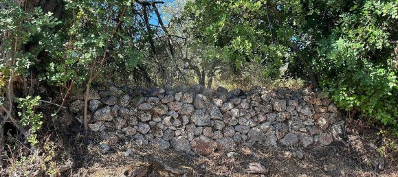 Grundstück in Salir, Portugal, Nr. 349625 2