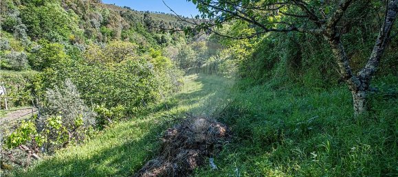 Casa T3 em Castro Daire, Portugal N.º 17751 44