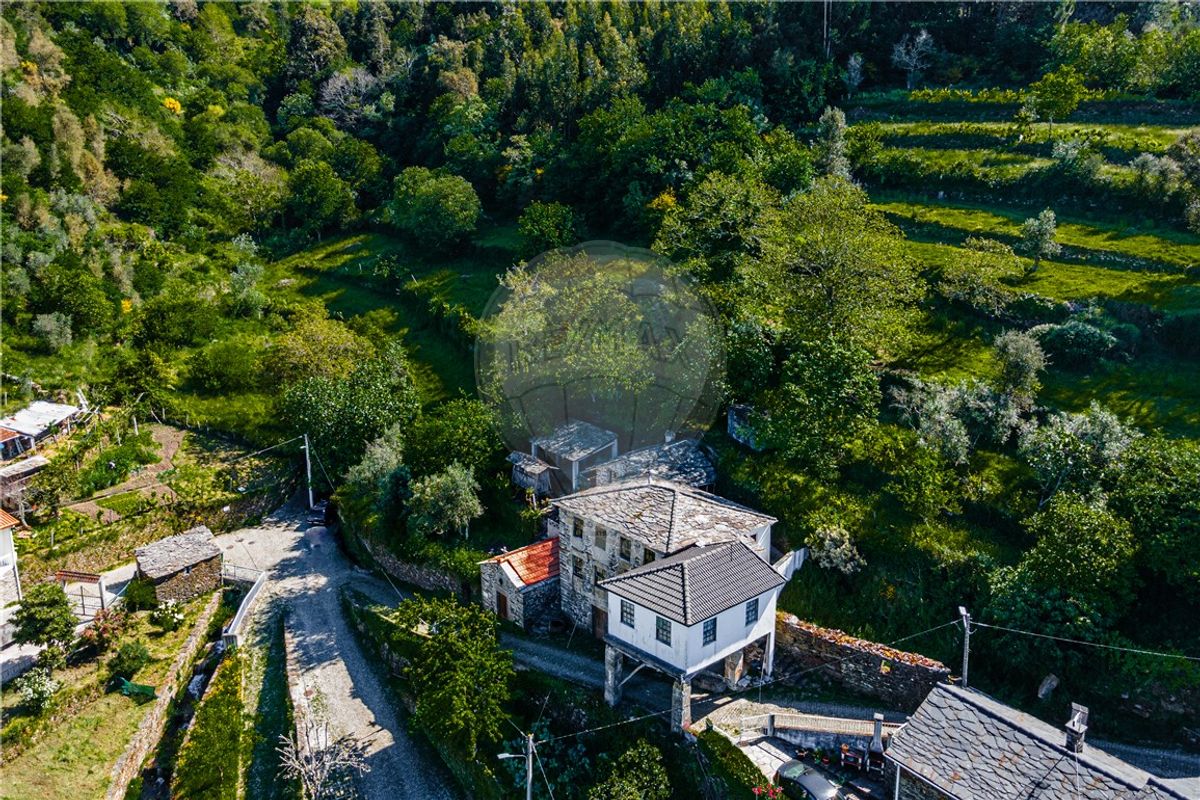 Casa T3 em Castro Daire, Portugal N.º 17751