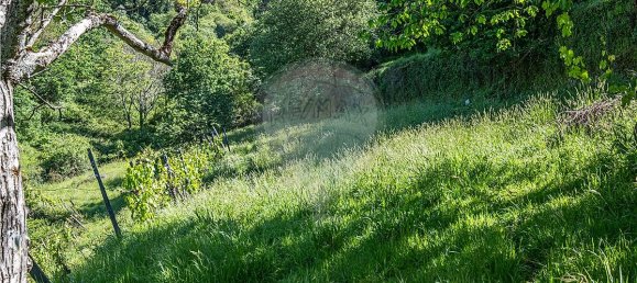 Casa T3 em Castro Daire, Portugal N.º 17751 43