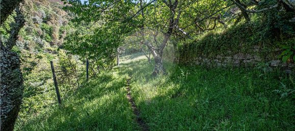 Casa T3 em Castro Daire, Portugal N.º 17751 42