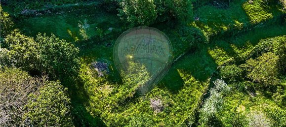 Casa T3 em Castro Daire, Portugal N.º 17751 10