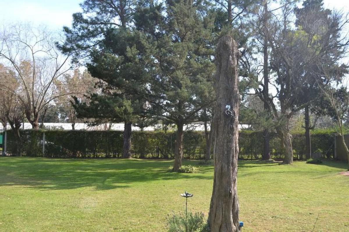  Land in Tigre, Argentina No. 50649