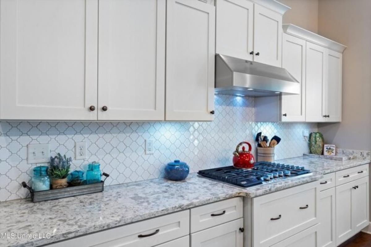 4 bedrooms House in Olive Branch, USA No. 396919