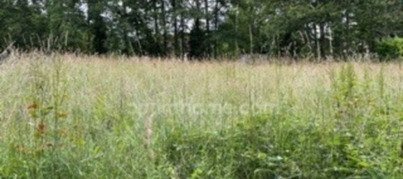 Grundstück in Souesmes, France 895m², Nr. 84905 3