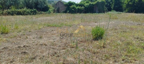 Grundstück in Aljubarrota, Portugal 2608m², Nr. 248005 8