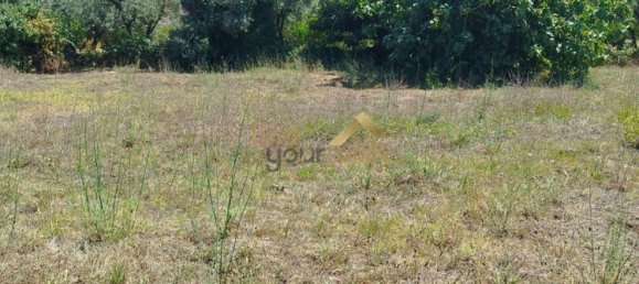 Grundstück in Aljubarrota, Portugal 2608m², Nr. 248005 9