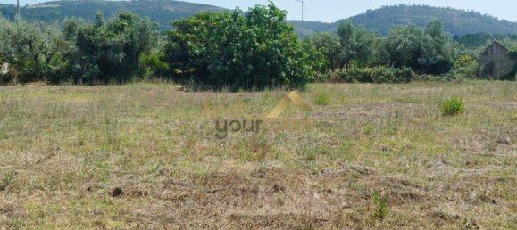 Grundstück in Aljubarrota, Portugal 2608m², Nr. 248005 5