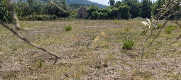 Grundstück in Aljubarrota, Portugal 2608m², Nr. 248005 2