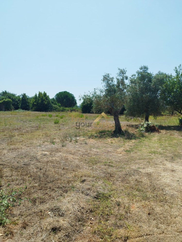  قطعة أرض في Aljubarrota, Portugal 2608متر مربع رقم 248005