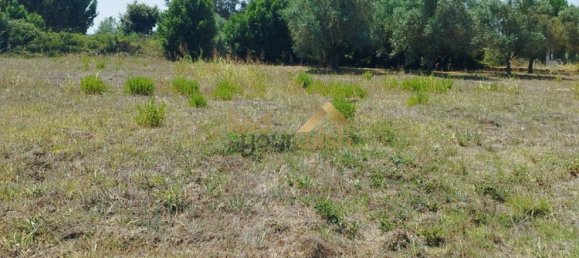 Grundstück in Aljubarrota, Portugal 2608m², Nr. 248005 7