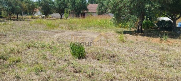 Grundstück in Aljubarrota, Portugal 2608m², Nr. 248005 6