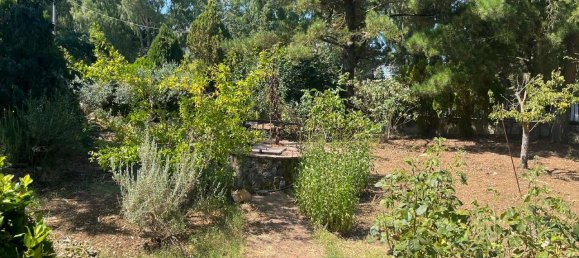 4 rooms Villa in Piana degli Albanesi, Italy No. 349524 16