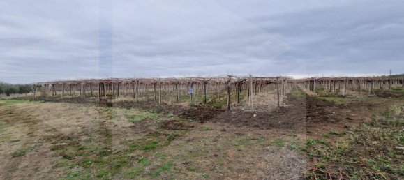  Land in Vasto, Italy No. 22391 2
