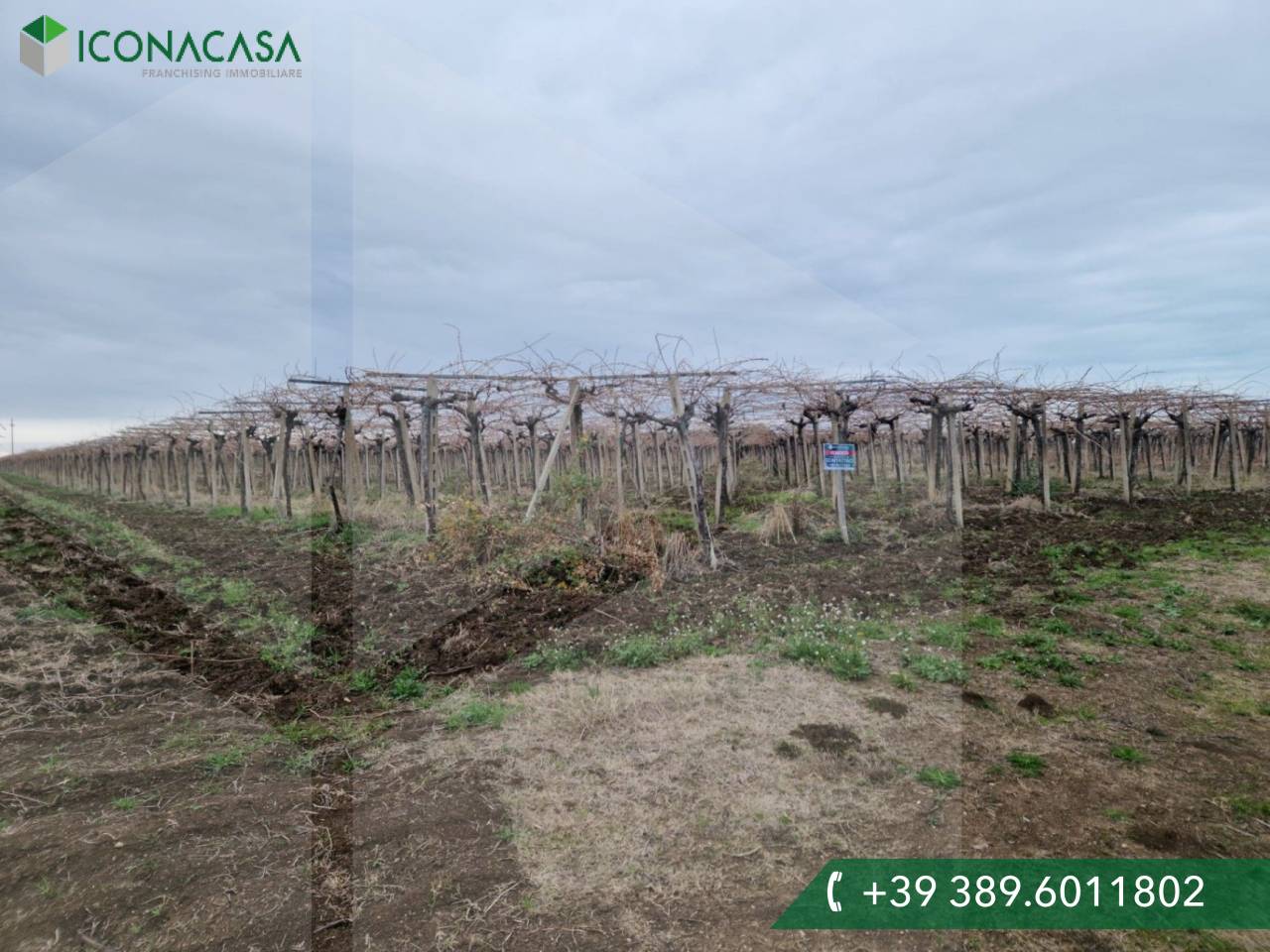  Land in Vasto, Italy No. 22391