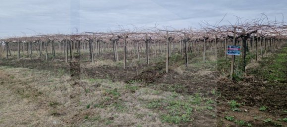  Land in Vasto, Italy No. 22391 4