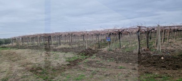  Land in Vasto, Italy No. 22391 3