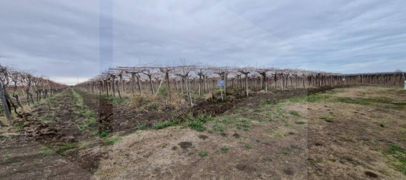  Land in Vasto, Italy No. 22391 5