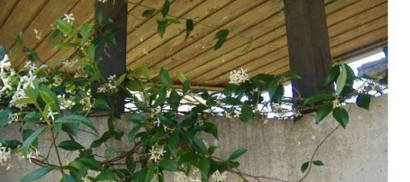 Квартира с 3 комнатами в Галларате, Италия № 306649 7