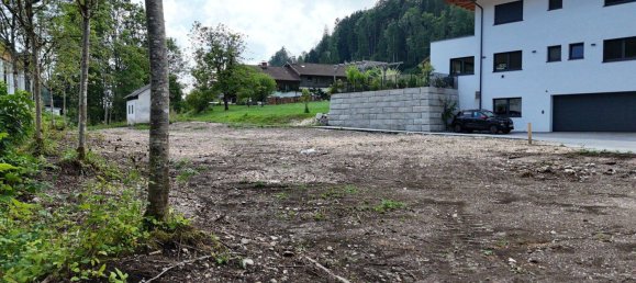 Terrain à Mariastein, Austria 790m² No. 195952 9