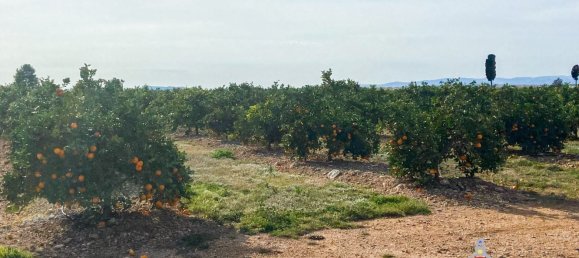 Grundstück in Castellon, Spain 83200m², Nr. 153215 2