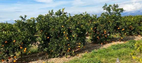 Grundstück in Castellon, Spain 83200m², Nr. 153215 8