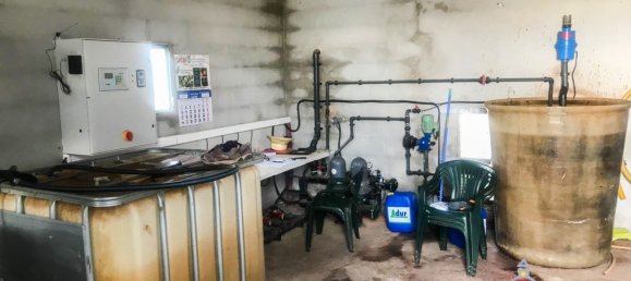 Grundstück in Castellon, Spain 83200m², Nr. 153215 7