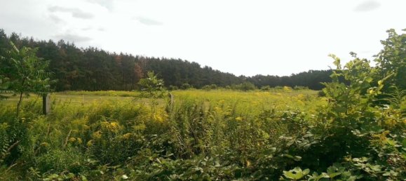  Land in Dahme-Spreewald, Germany No. 329638 2