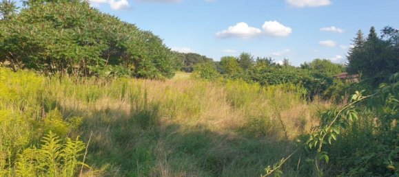  Land in Dahme-Spreewald, Germany No. 329638 3