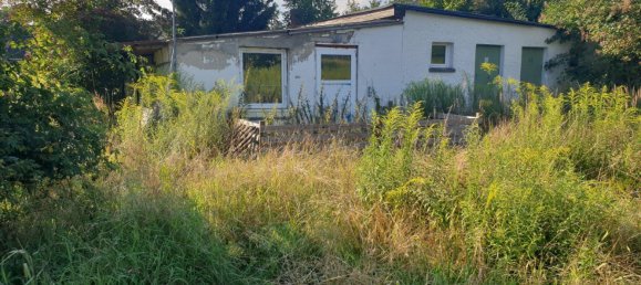  Land in Dahme-Spreewald, Germany No. 329638 7